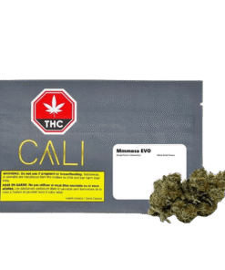 Cali - Mmmosa Evo (HYBRID)