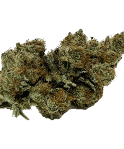 Alternative view of Cali - Mmmosa Evo (HYBRID)