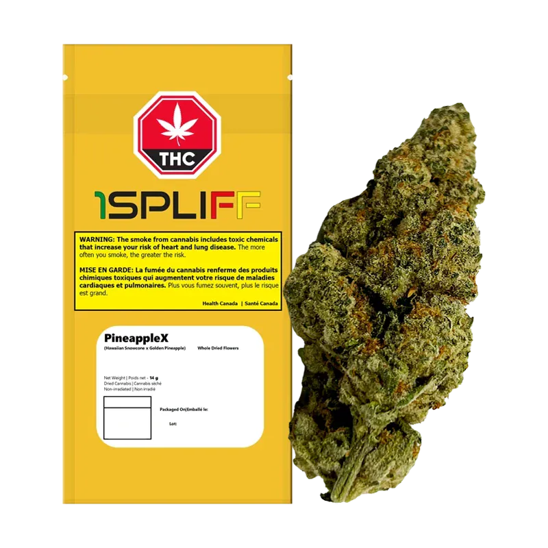 1Spliff - PineappleX (SATIVA)