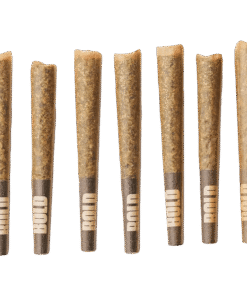 Alternative view of Bold - Root Beer Float PR 7 x 0.5 g (INDICA)