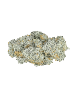 Alternative view of Coterie - Lemon Cherry Gelato (HYBRID)